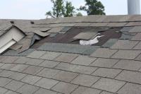 GP Damp Proofing & Roof Repairs - Centurion image 16